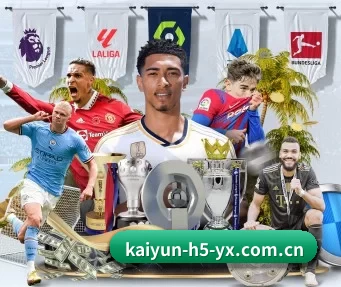 开云体育 APP | kaiyun